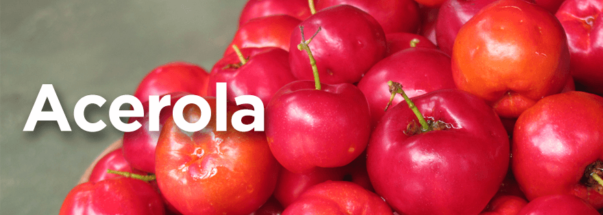 Acerola rica em vitamina C