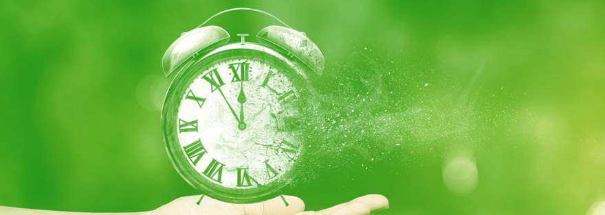 Em quanto tempo as vitaminas fazem efeito? 